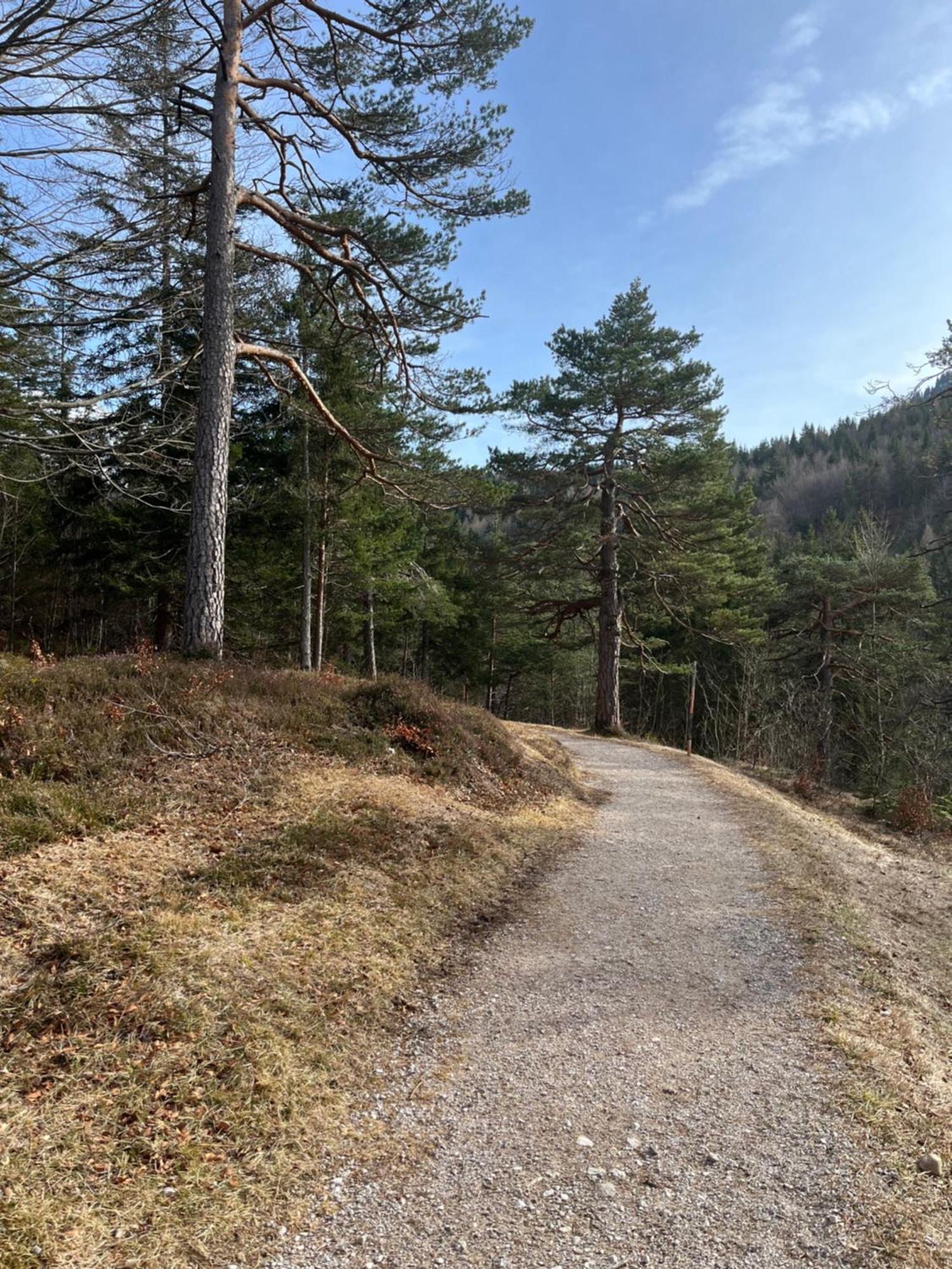 Lautersee Mittenwald